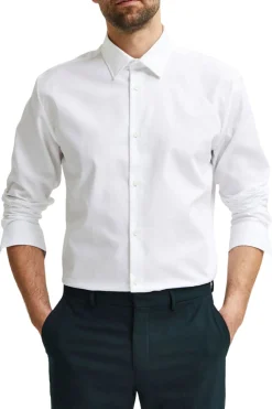 Camicia