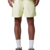 Chase Swim Trunks
