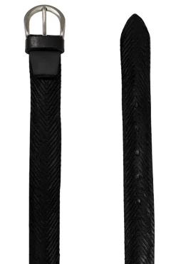 Cintura