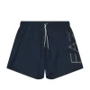 Costume Boxer Mare