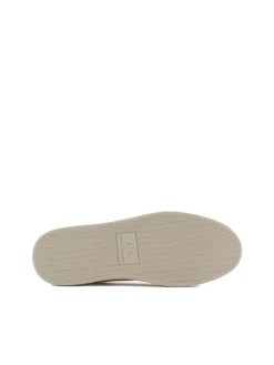 English Sneaker