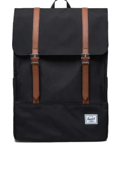 Herschel Survey