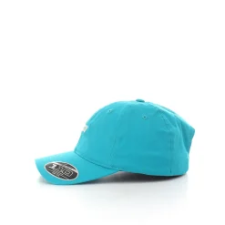 Mini Batwing Dad Hat