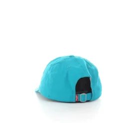 Mini Batwing Dad Hat
