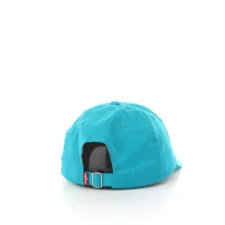 Mini Batwing Dad Hat