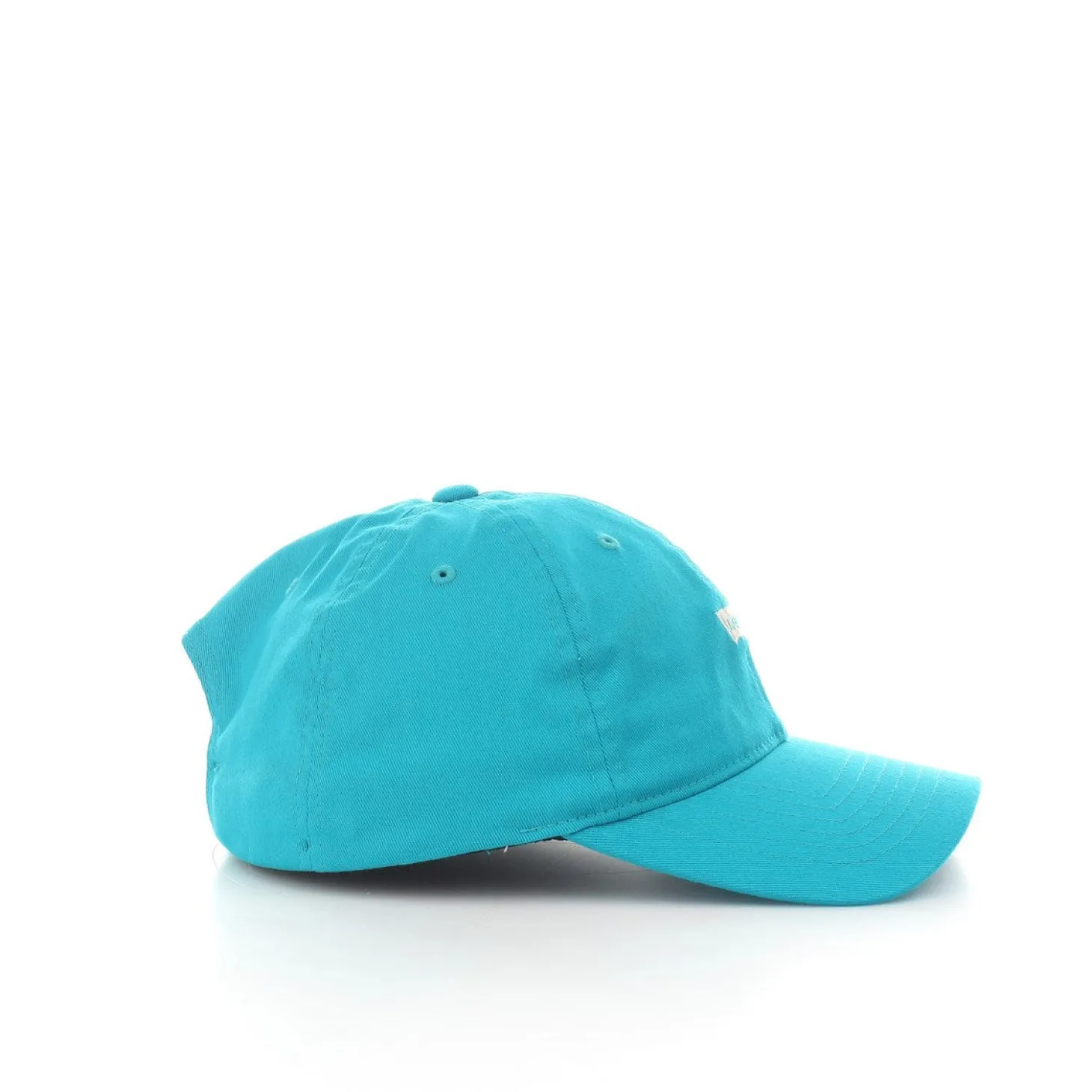 Mini Batwing Dad Hat