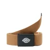Orcutt Webbing Belt
