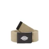 Orcutt Webbing Belt