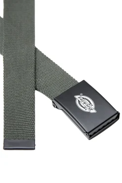 Orcutt Webbing Belt