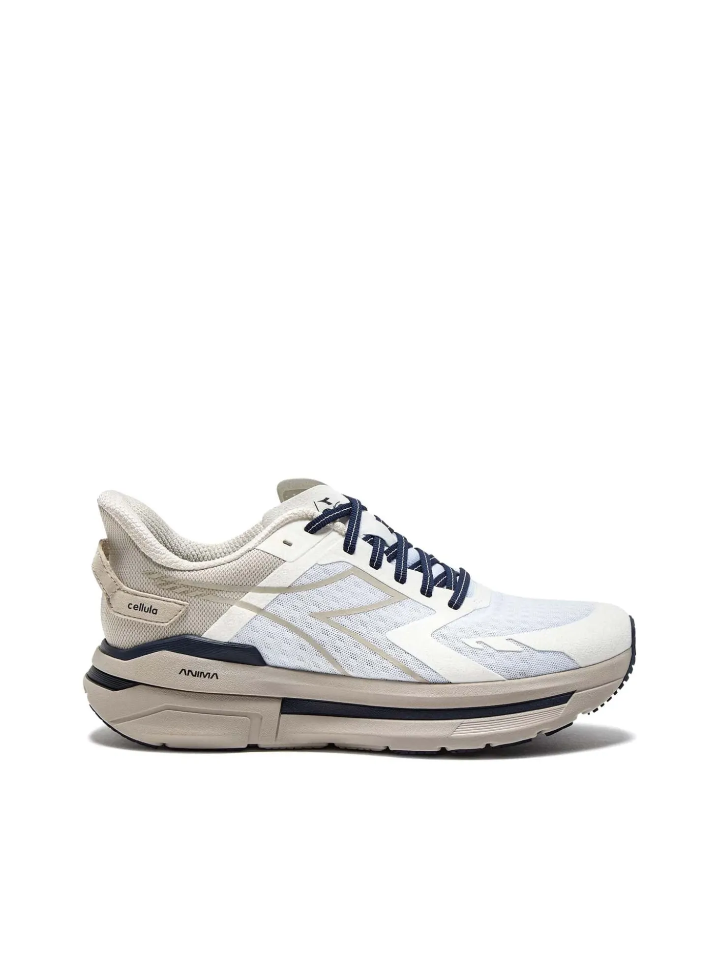 Scarpe Cellula