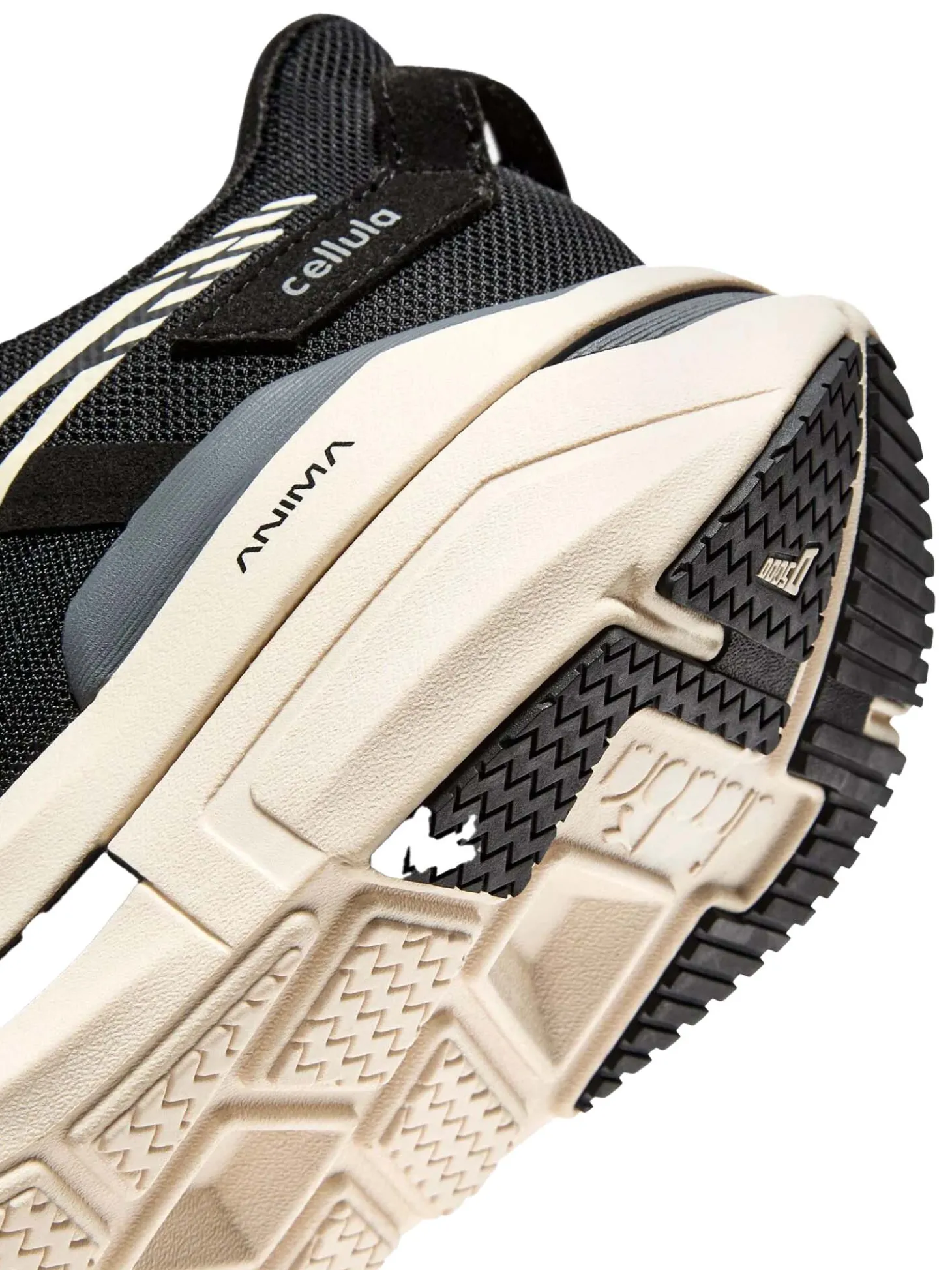 Scarpe Cellula