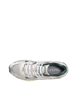 Scarpe Wave Rider 10