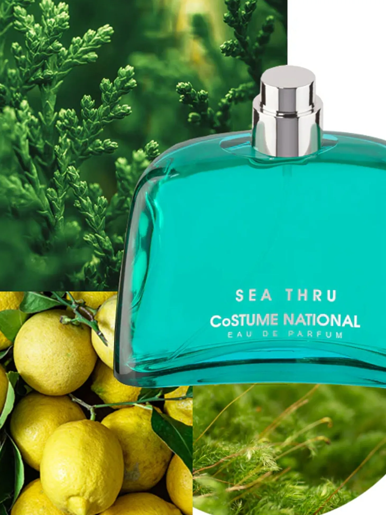 Sea Thru Eau De Parfum 50Ml