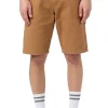 Shorts Duck Canvas
