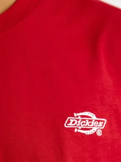 T-Shirt Summerdale A Maniche Corte